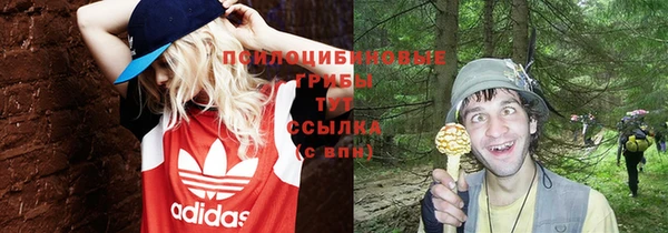 бутират Беломорск